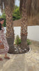 DA2572CREAM_100426011947.mp4